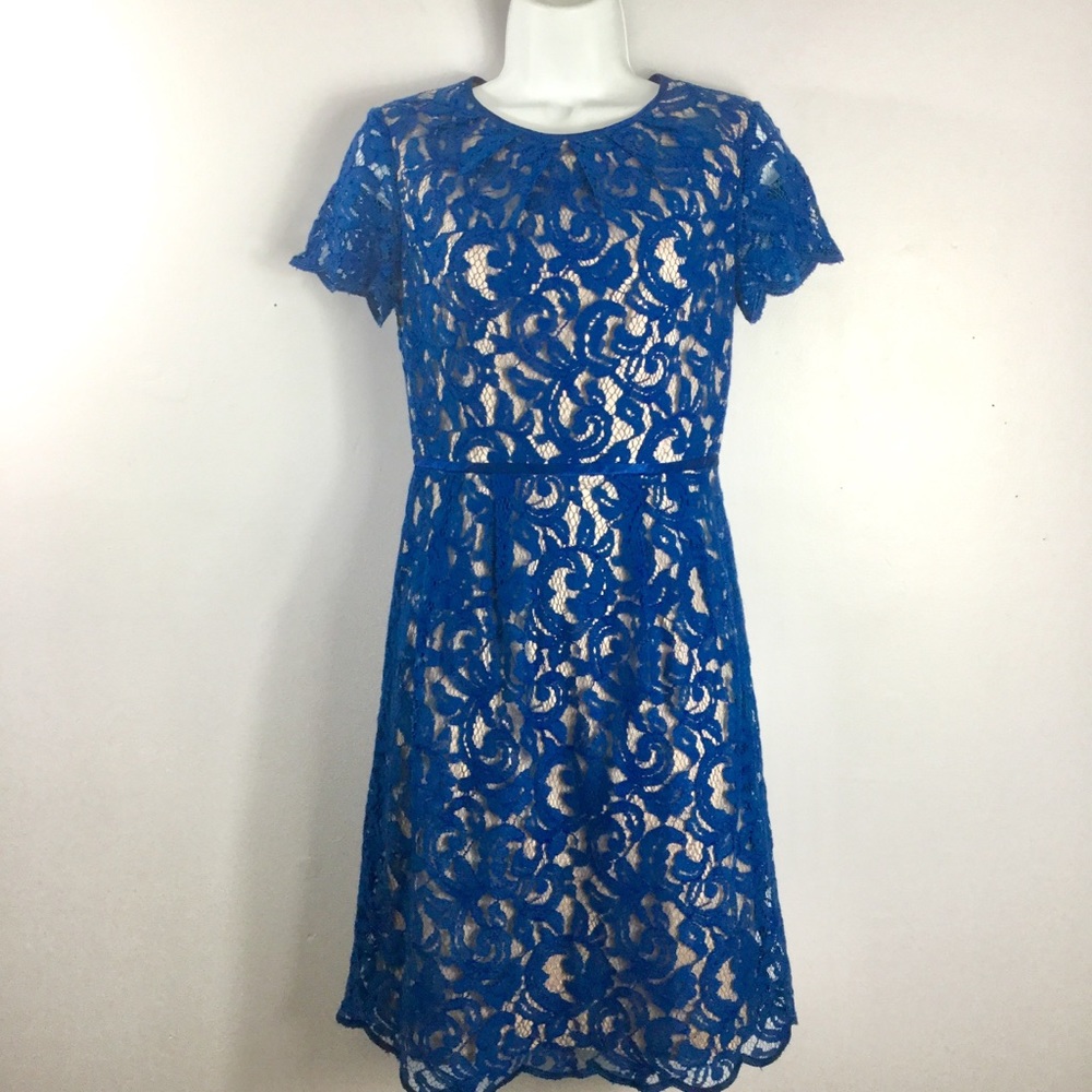 Adrianna Papell Scalloped Lace Dress Size 2 - Picture 3 of 9